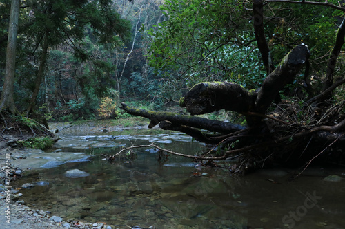 養老渓谷　万代の滝　 © aquafesta