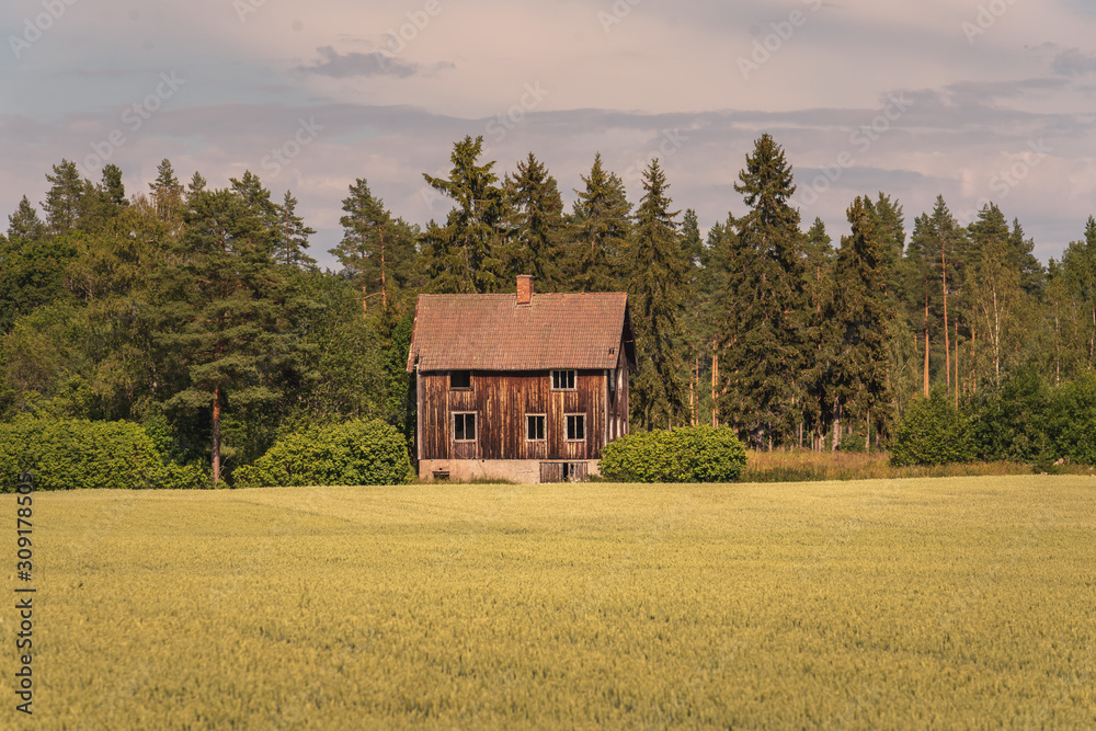 Abandoned house on the Swedish countryside in morning sunlight Abandoned house on the Swedish countryside in morning sunlight