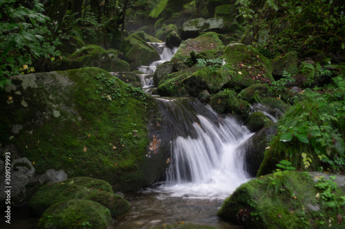 Valley full of moss on rocks with clear water