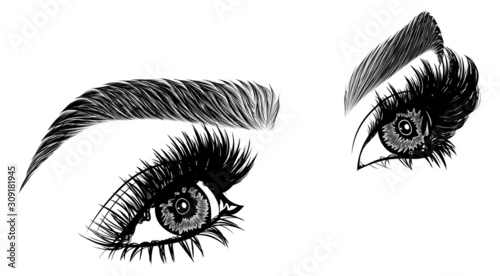 Illustration with woman's eyes, eyelashes and eyebrows. Realistic sexy makeup look. Tattoo design. Logo for brow bar or lash salon.