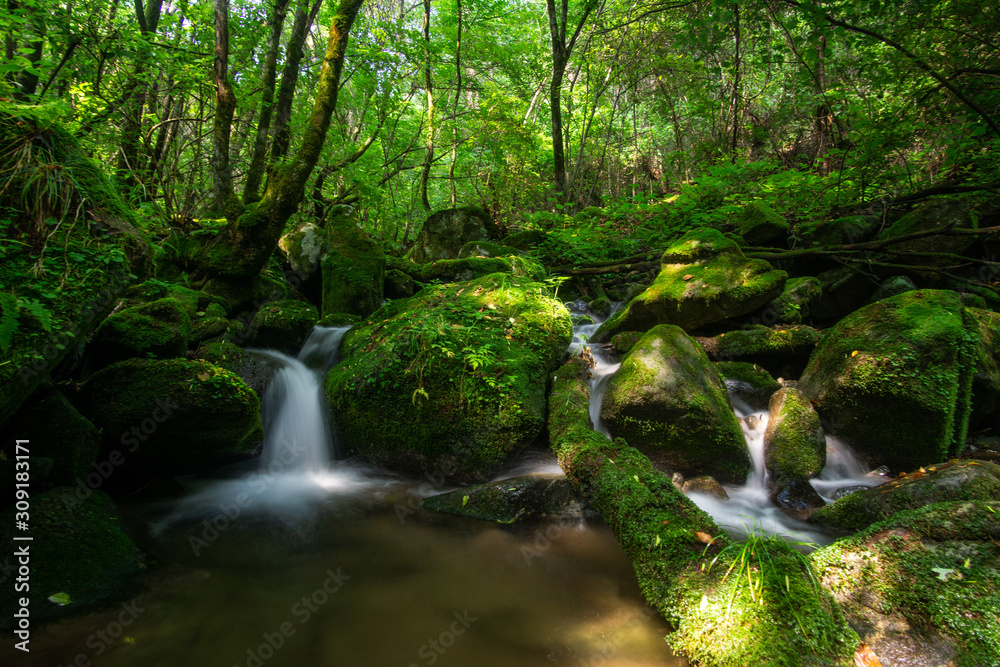 Fototapeta premium At moss valleu, waterfall in forest at summer time.