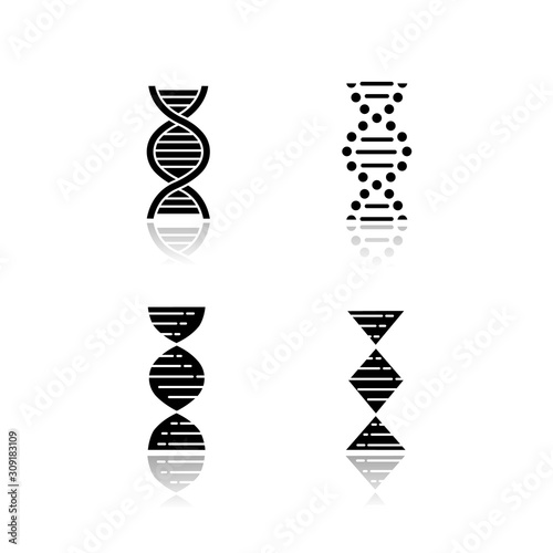DNA spiral strands drop shadow black glyph icons set. Deoxyribonucleic, nucleic acid helix. Spiraling strands. Chromosome. Molecular biology. Genetic code. Genetics. Isolated vector illustrations