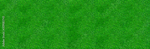 Green grass pattern and texture for background. Close-up image. 