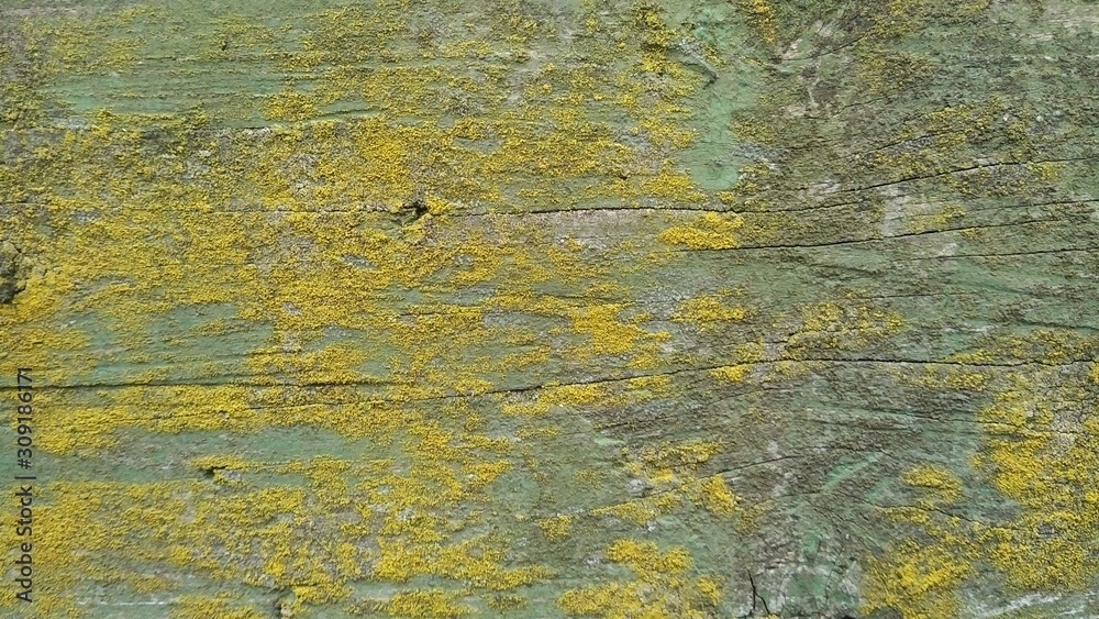 texture of old wall texture of old wall