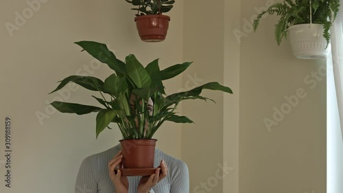 Young woman hiding behind plant in pot and looking to camera with smile. Air purification in home. Ecolife. photo