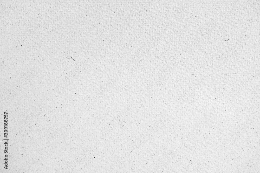 White paper texture background or cardboard surface from a paper box for packing. and for the designs decoration and nature background concept White paper texture background or cardboard surface from a paper box for packing. and for the designs decoration and nature background concept