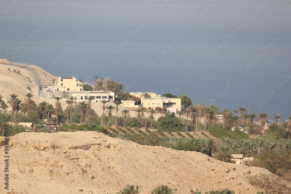 View of a beach houses near the dead sea of Israel. Beach houses near a trunk of trees and the Dead Sea of Israel, with a far away view of the sea.