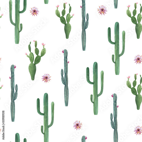 Beautiful vector watercolor cactus seamless pattern. Hand drawn stock illustrations. White background.