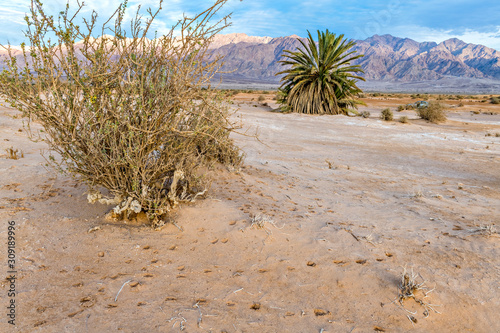 Sandy desert area in nature reserve and ecological ancient park - Evrona, it ...