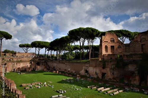 Fototapeta Naklejka Na Ścianę i Meble -  The Forum Romanum