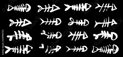 Fish bone skeletons set, hand painted with ink brush