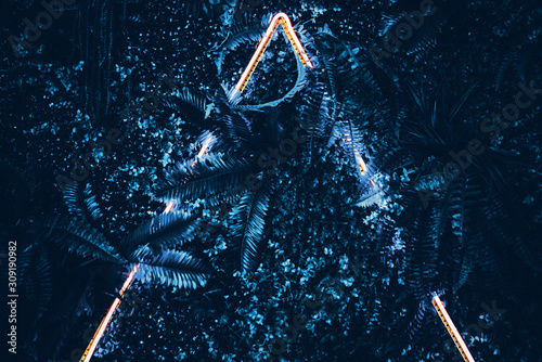 Fototapeta Naklejka Na Ścianę i Meble -  Creative fluorescent color layout made of blue tropical leaves with neon light triangle .