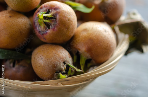 Common Medlars (Mespilus germanica), fruit