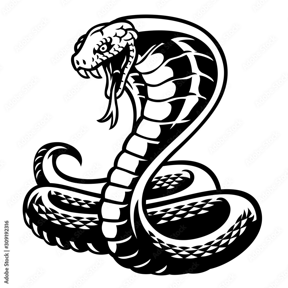 Fototapeta premium cobra snake tattoo style in black and white