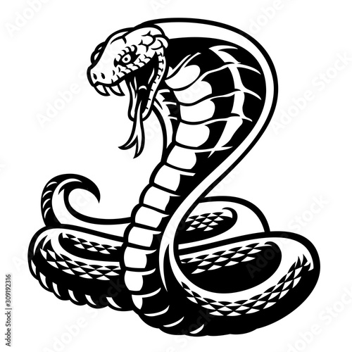 cobra snake tattoo style in black and white photo