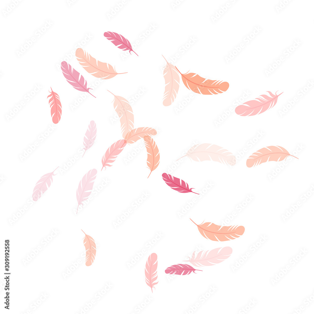 Obraz premium Falling feather elements soft vector design.
