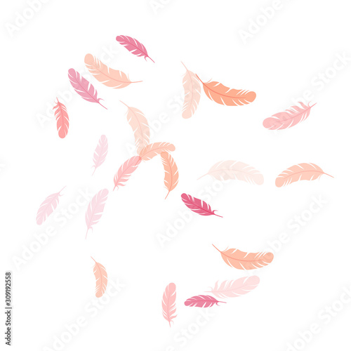 Falling feather elements soft vector design.