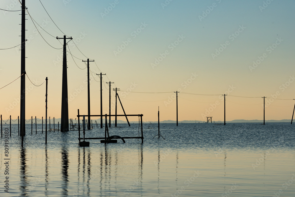 海の中に立つ電柱の列