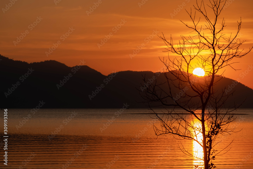 Sunset on the mangrove forest with orange sky and sea water reflection landscape.