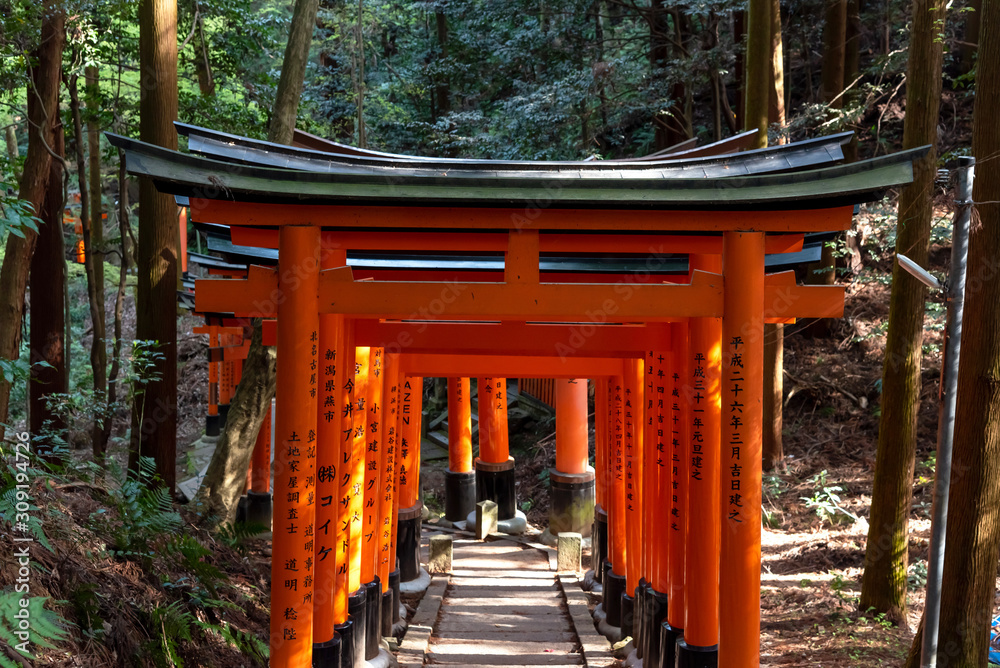 Fushimi Inari Shrine gates. Kyoto, Japan Fushimi Inari Shrine gates. Kyoto, Japan