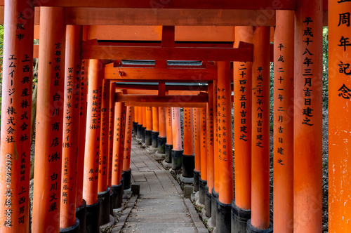 Fushimi Inari Shrine gates. Kyoto, Japan © Bisual Photo