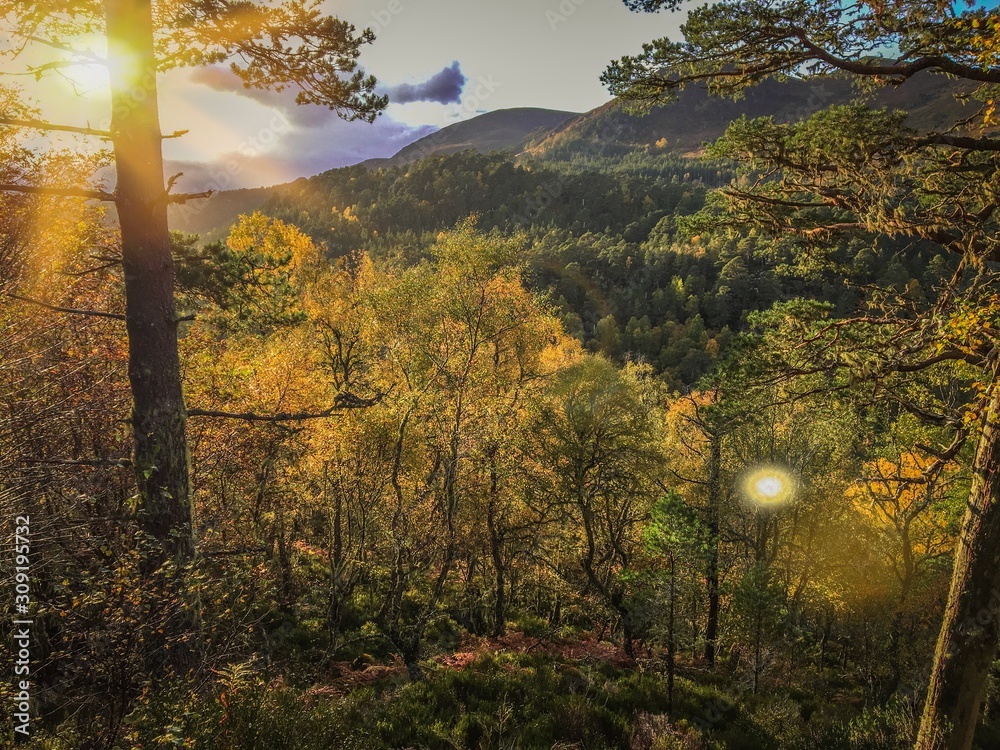 Scottish autumn landscape