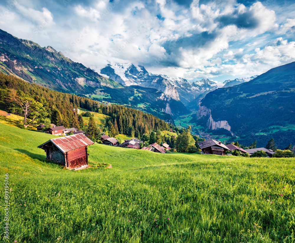 Green morning scene of countryside in Swiss Alps, Bernese Oberland in the canton of Bern, Switzerland, Europe. Exciting summer view of Wengen village. Beauty of nature concept background.