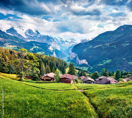 Amazing summer view of Wengen village. Green morning scene of countryside in Swiss Alps, Bernese Oberland in the canton of Bern, Switzerland, Europe. Beauty of nature concept background.