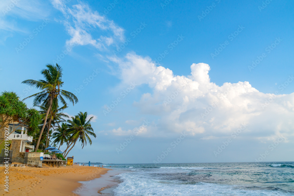 Hikkaduwa, Sri Lanka. March 1, 2018.  Beautiful coconut tree on background of blue tropical sky. Ocean waves on the beach.
