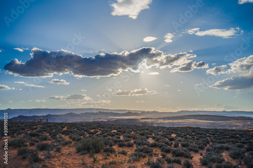Bushes and Sand at Page,Arizona USA © vorapoj