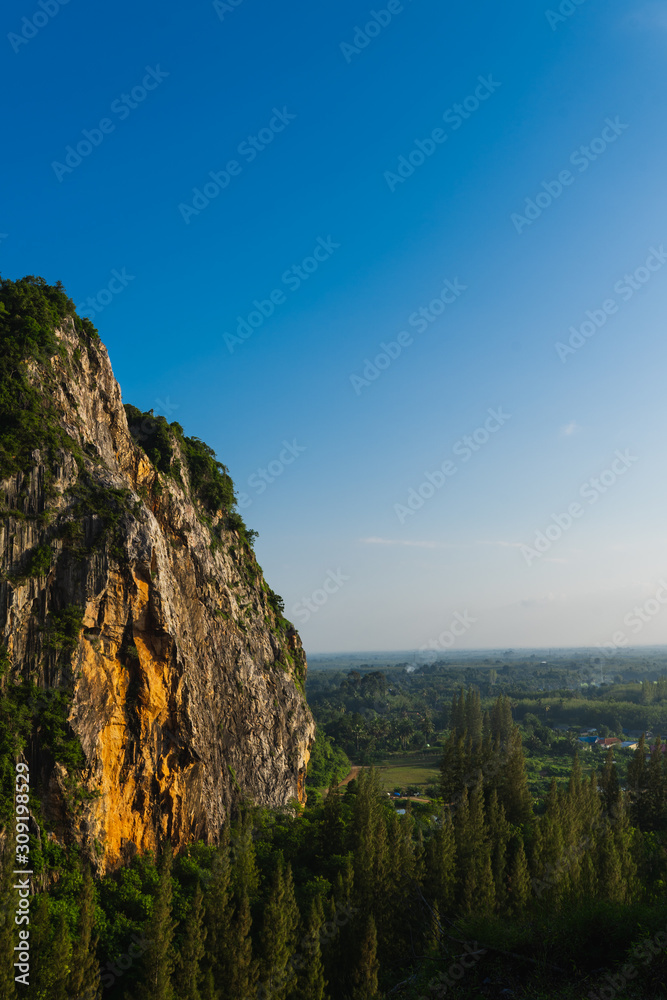 Fototapeta premium landscape with rock mountain and pine trees