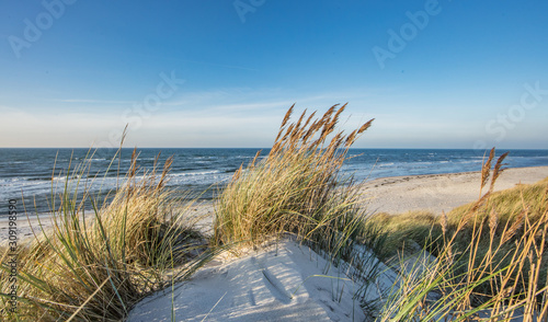 Fototapeta Naklejka Na Ścianę i Meble -  ostseeküste