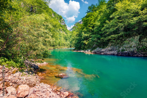 Rapid waters of the mountain Tara river. Splendid summer morning in Tara canyon  Montenegro  Europe. Beautiful world of Mediterranean countries. Beauty of nature concept background..