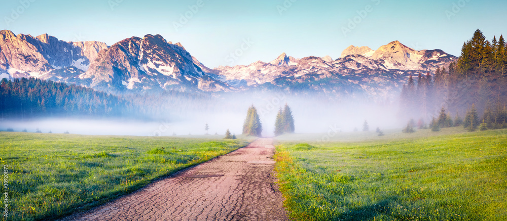 Soft fog coming down from the mountains surrounds the sunny valley. Panoramic summer scene of Durmitor Nacionalni Park, Montenegro, Zabljak town location. Traveling concept background. - obrazy, fototapety, plakaty 