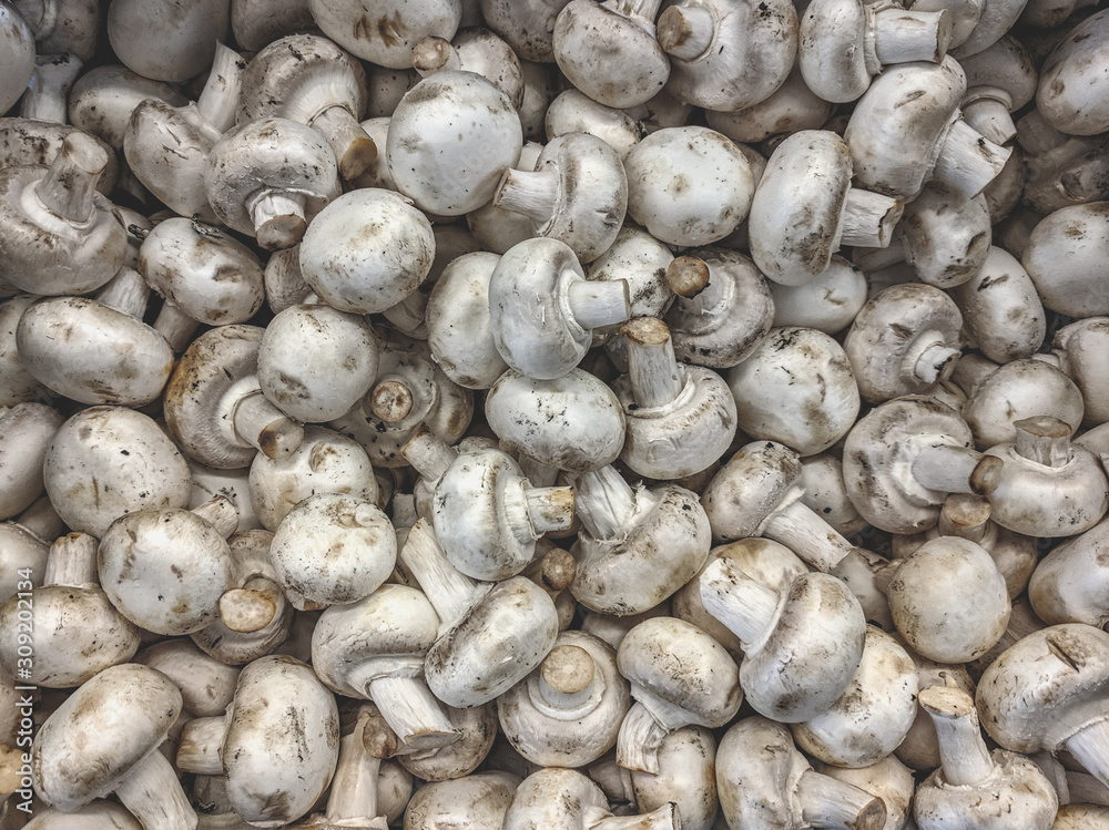 Fresh organic champignon mushrooms on a market shelf Fresh organic champignon mushrooms on a market shelf