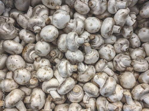 Fresh organic champignon mushrooms on a market shelf
