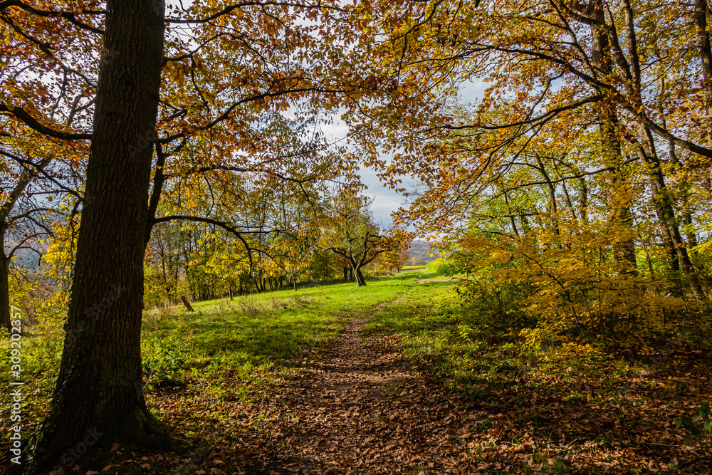 Obraz premium Wanderweg im Stromberg