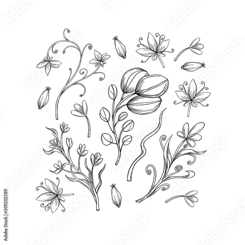 Spring flowers hand drawn illustration.