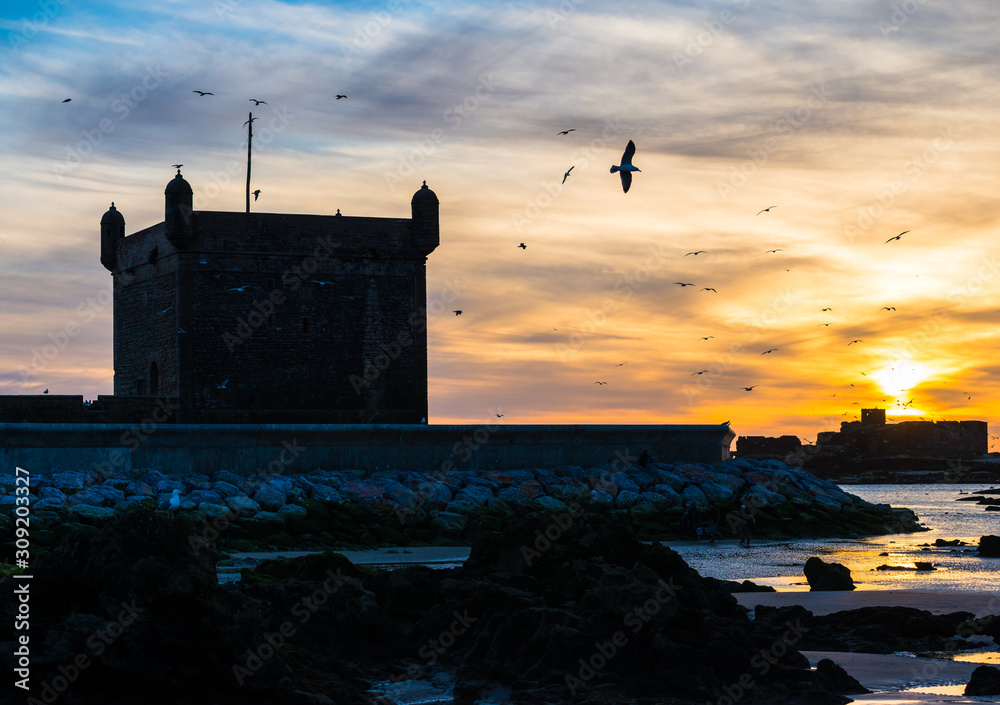 Sunset view of Essaouira fort with silhouettes of tower and gulls in Morocco
