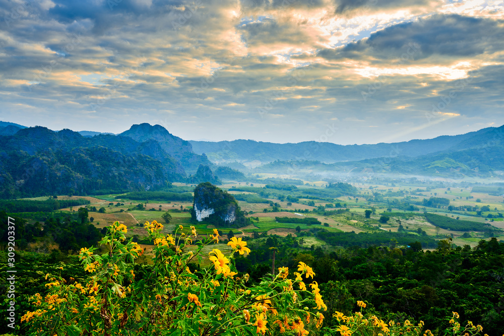 Landscape view of countryside morning while sunlight shine on sky and mist on mountain with blooming yellow flower in foreground