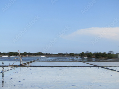 A view of a natural salt evaporation pond or tambak garam in village of Sidoarjo region. Traditional home industry with artificial shallow ponds designed to produce from sea water or water brines. photo