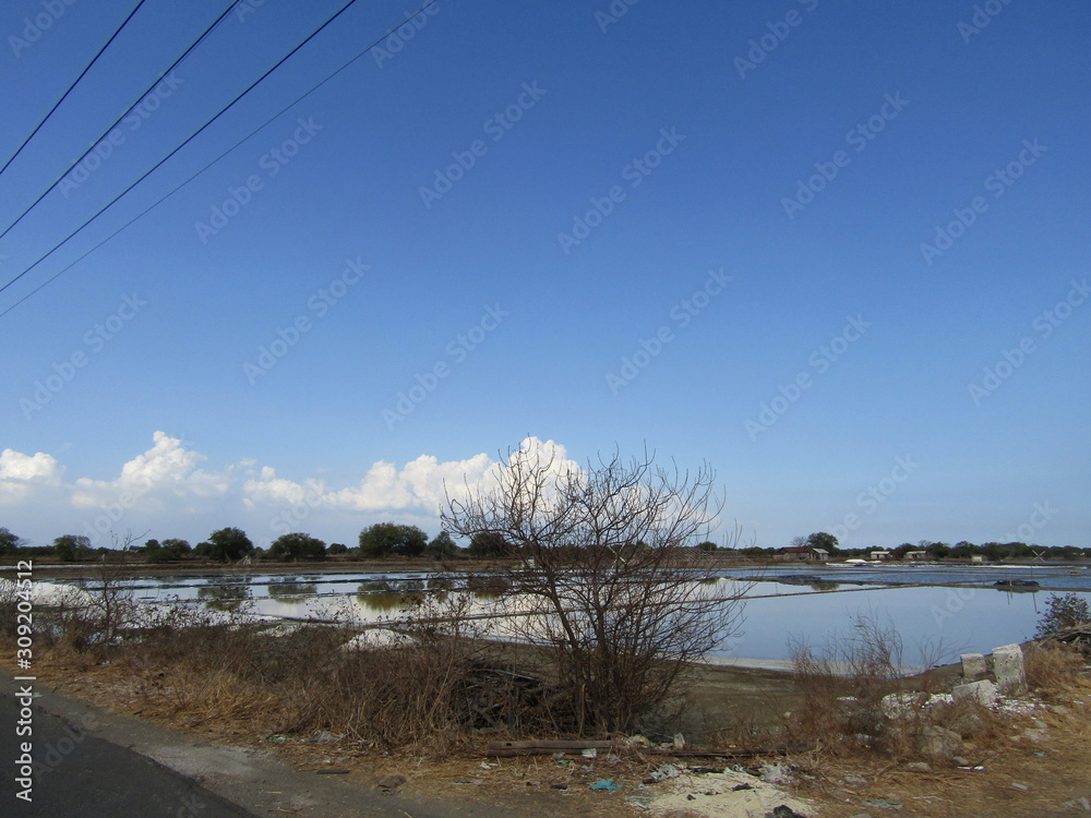 A view of a natural salt evaporation pond or tambak garam in village of Sidoarjo region. Traditional home industry with artificial shallow ponds designed to produce from sea water or water brines. A view of a natural salt evaporation pond or tambak garam in village of Sidoarjo region. Traditional home industry with artificial shallow ponds designed to produce from sea water or water brines.