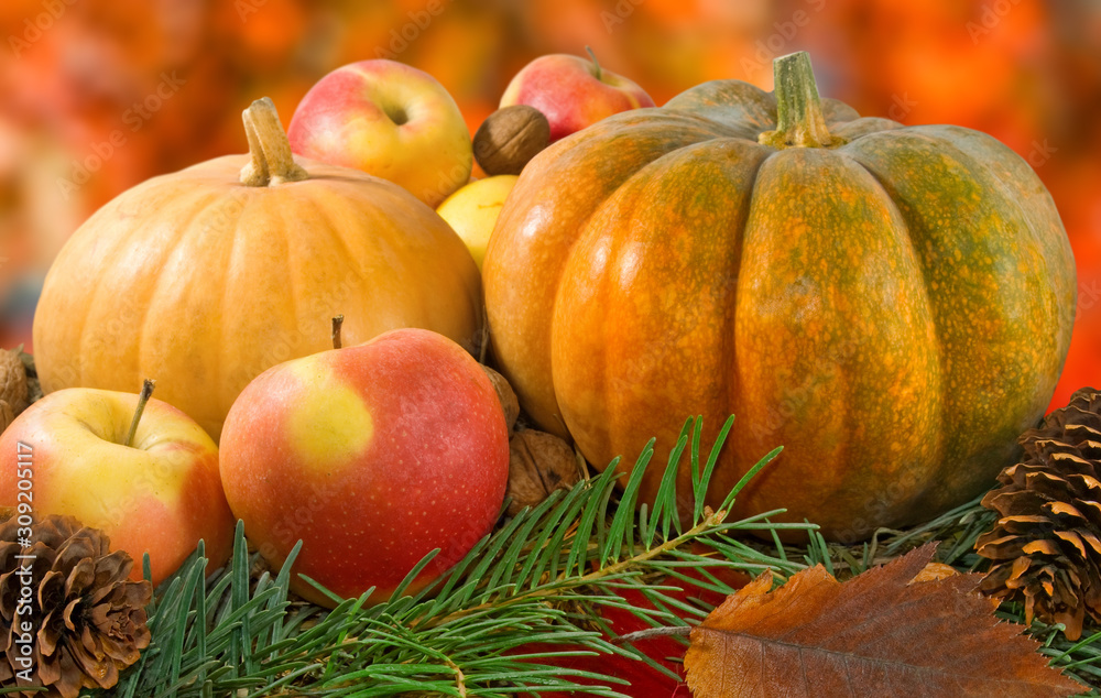 Image of pumpkin, apples and walnuts closeup Image of pumpkin, apples and walnuts closeup
