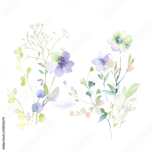 Watercolor flowers illustration