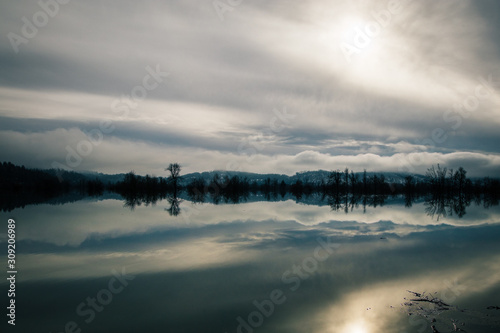 Flooded fields in the winter. Trees are seen standing directly out of the water with one tree in the foreground on the Planina field close to Postojna, Slovenia.