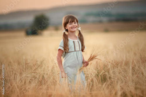 A girl with spikelets in her hands and braids in her hair in a wheat field.