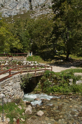Rio Tejo in the village Bulnes in national park Picos de Europa in Asturia,Spain,Europe