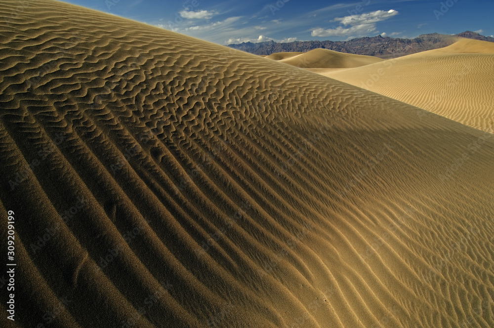 Naklejka premium Landscape Mesquite Flat Sand Dunes, Death Valley National Park, California, USA