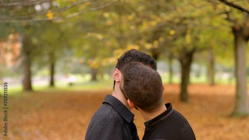 happy gay couple smiling at each other and kissing passionalety at the park happy gay couple smiling at each other and kissing passionalety at the park