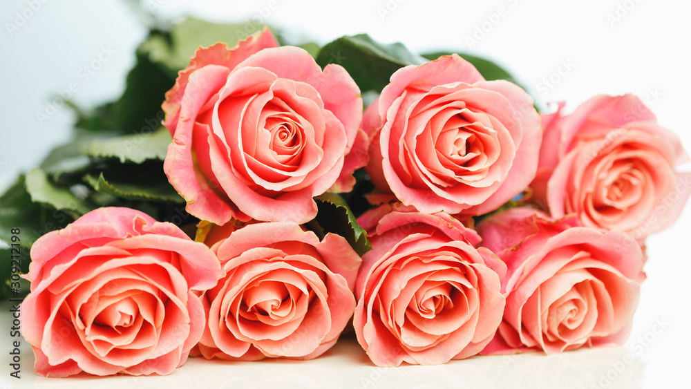 Naklejka premium bunch of pink roses, white background